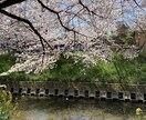 初心者向けオンライン日本語レッスンをします Japanisch für Anfänger イメージ2