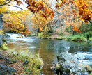 北海道山奥の自然の写真をあげます。高画質 イメージ1