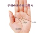 手相♡手の甲、指紋、まるまる視ます 本当の手相占いしたことありますか？ イメージ1