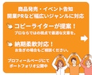 プレスリリース記事作成から入稿までサポートします プロコピーライターが「伝わる」文章でメディアにアプローチ！ イメージ2