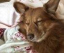 辛いお気持ちを軽く、楽にします 心に寄り添い、あなたが一歩踏み出せるカウンセリング イメージ2