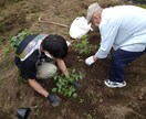 介護相談何でもお受け致します 介護経験20年以上！介護施設経営！プロの目線！ イメージ2