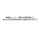 韓国語レッスンや韓国大学受験の相談にのります (韓国トップ延世大学合格！韓国語能力試験6級取得済み) イメージ1