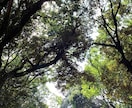 3日間じっくり、生きづらさを紐解くお手伝いします 本音に気づく深堀りで、自己理解・自己受容のサポート イメージ1