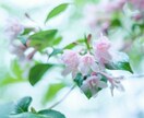 気楽にお話しできます 空いたお時間で聞いてほしい話がある、話すことですっきりしたい イメージ2