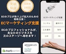 ECのプロチームが低コストでEC売上拡大支援します 低コストで実績ある戦略を提案するEC支援サービスです。 イメージ1