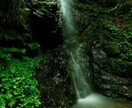 彼の気持ち♡恋愛のモヤモヤ断捨離お手伝いします 不安・眠れない・躁鬱・パニック障害・不眠症つらい(´･-･` イメージ8