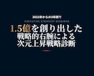 経営者限定 低単価から億超え次元上昇戦略診断します 29年の実戦知見と億超えのロジックでビジネスのバグを特定 イメージ1