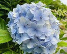 誰かに聞いて欲しい。声の拠り所になります 周りに言えないでも話したい。そんな声を聞かせてください。 イメージ1