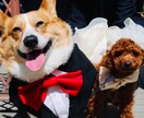 介護奮闘中！一緒に語り合いませんか待ってます 老老介護奮闘中！一緒に乗り越えませんか！？ イメージ1