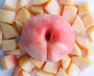 料理・食材の写真　　美味しそうで綺麗な写真撮ります ECサイト　商品撮影も！白背景もできます！ イメージ4