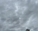 あなたの人生のお手伝いをします タロット/オラクル/四柱推命/対面鑑定実績多数 イメージ3