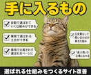 診断込・SEOとAI検索で集客するHPを制作します ワードプレスで文章･デザイン･SEOを丸ごとリニューアル イメージ4