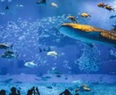 沖縄移住に関する悩みや質問にお答えします 沖縄移住を考えている方へ。リアルな声をお届けします！ イメージ1