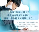 添削指導付き！小論文の書き方指導＆添削します 小論文書き方ノウハウを指導＆目指す進路に合わせた課題を添削！ イメージ2
