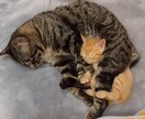 皆さんのお悩み何で～も聞きます スッキリしていただけます度100% イメージ1