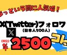 X（Twitter）日本人フォロワー増やします 日本人フォロワーを５００人から格安で増やします！！ イメージ1