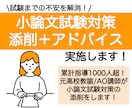 大学受験小論文試験対策！添削とアドバイスをします 進路指導1000人超！慶應出身の現AO講師/元高校教員が添削 イメージ1