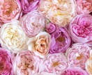 マッチングアプリが苦手な方を助けます 結婚相談所のノウハウをそのままお伝え。 イメージ2
