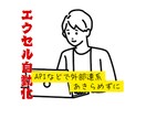 excel自動化、API外部連携など承ります VBA自動化など、外部連携、可能です！ご相談ください！ イメージ1