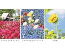 SNSに使える高品質な写真の素材提供します カメラ歴7年の私が撮影したお花や猫の イメージ8