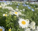 お話聞きます 小さな思いから大きな思いまでお待ちしてます！ イメージ1