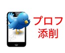 Twitterプロフィール５つ添削アドバイスします あなたの魅力を伝えきりましょう！ツイッター拡散・宣伝OP有り イメージ1