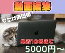 YouTubeなどの編集を代行いたします 丸投げOK！理想の動画をお届けします！ イメージ1