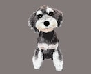 ミニチュアシュナウザーの似顔絵を描きます ミニシュナと暮らす犬絵師が、写真から似顔絵を描きます イメージ4