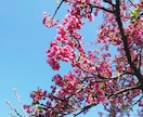 写真を提供致します 綺麗な風景を見てみたくはないですか? イメージ8
