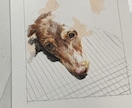 格安！リアルな愛犬、愛猫イラストを描きます プレゼントやメモリアルイラスト、お部屋に飾るのにオススメ☆ イメージ2