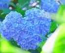 話し相手が必要なかたへ。話を聞きます。励まします 話し相手になります(^^)あなたの気持ちが癒されますように。 イメージ2