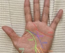 画像付き鑑定 あなたの可能性を手相から読み解きます 手相から性格や強みを丁寧に読み解きお伝えします イメージ2
