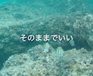 あなたのお話を、じっくり丁寧にお聞きします 愚痴、心配ごとなど、優しくあなたに寄り添ってお聞きします イメージ3