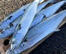 中級者向け、ルアーフィッシングへの第一歩支援します 釣り歴20年の私がルアー釣りのノウハウ伝授します！ イメージ3