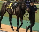 競馬初心者に馬券の買い方教えます 競馬を最近始めたけど当たらない！っていう方でもOKです！ イメージ3