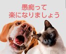 心軽やかに！スッキリして下さい。愚痴お聞きします 気持ちリフレッシュ！ストレス解消タイム。気軽にお話し下さい！ イメージ5