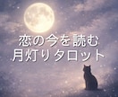月灯りタロットで、恋や結婚の今をそっと読み解きます 【お試し価格】月明かりの下、ねこがそっと答えを届けます。 イメージ1