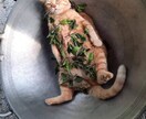 ゆるゆるおはなし【癒】よく笑います どうでもいい事から内緒話まで おはなししましょう❁ イメージ1