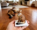 写真から作るフィギュア｜愛犬・愛猫似顔人形ます オーダーメイド 犬・猫そっくり 肖像画 うちの子 置物 イメージ7