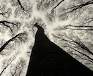 前世の記憶 過去生とカルマの昇華 お伝え致します 身の内に眠る偉大な才能と人格の由来を知り、人生に自信を得る イメージ6