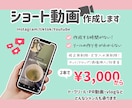 各種SNSショート動画作成代行します 現役SNS発信者が動画作成をお手伝い！ イメージ1