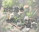四柱推命と植物の力で心を優しく癒します あなたの宿命を支える命の薬草を鑑定いたします イメージ1