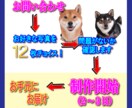 2026年版【オリジナル】卓上カレンダー制作します お好きな写真を12枚えらんで世界で1つの卓上カレンダーを☆ イメージ7