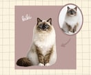 うちの子を世界に一つのイラストにします ☆お写真から世界にひとつのペットアート☆ イメージ6