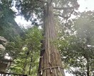 タロットと宿命鑑定を使ってのカウンセりんぐをします 今の悩みを言葉にしてみませんか?きっと、気付きがあるはずです イメージ2