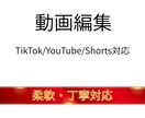 動画編集｜丁寧にスピード対応します SNSからYouTubeまで幅広く対応 イメージ1