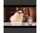 出品記念！シンプルイラスト+表情9種描きます 配信者さん向け！動画サムネに使える表情差分付きキャライラスト イメージ5