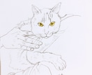 猫ちゃんのイラスト絵を手描きで描きます 猫ちゃんのお写真からわたくしが手描きでイラスト絵を描きます イメージ2