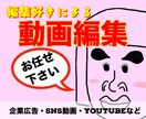 楽しい！且つ分かりやすい！！動画を提供致します 動画編集大好きな私から愛を込めて❤️より良い動画を作りします イメージ1